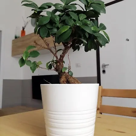 La Casa Blu Apartmán *