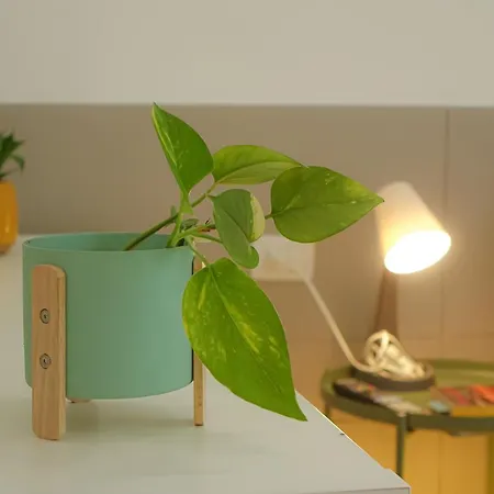 La Casa Blu *