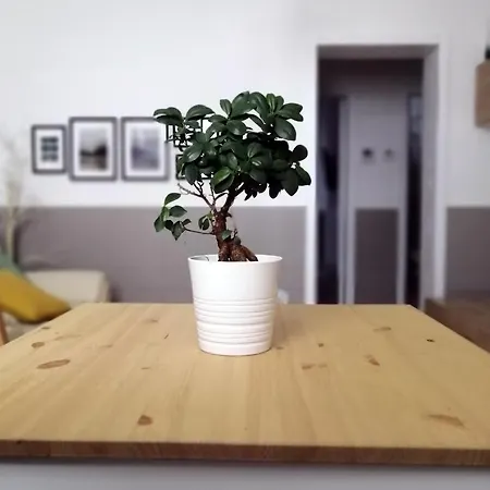 La Casa Blu * باري